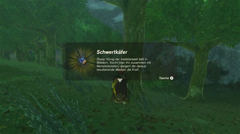 Schwertkäfer Orte und Effekte｜Zelda: Tears of the Kingdo